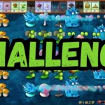 challenge